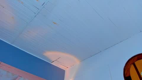  Maddy Crofft online show from February 1, 5:26 pm