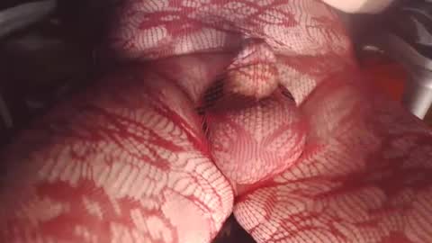 maestro2017 online show from February 26, 9:48 pm