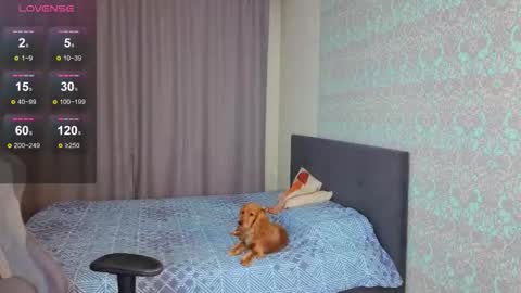 Merry online show from November 9, 1:04 am