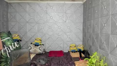 TsKaycee online show from October 13, 8:25 am