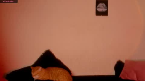 mariana williams online show from February 22, 1:00 am