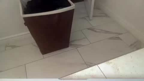 Snapshot of markk702 chatting on October 11, 4:27 pm markk702 online show from October 11, 4:27 pm