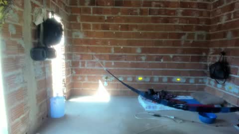 MAX online show from January 4, 12:38 pm