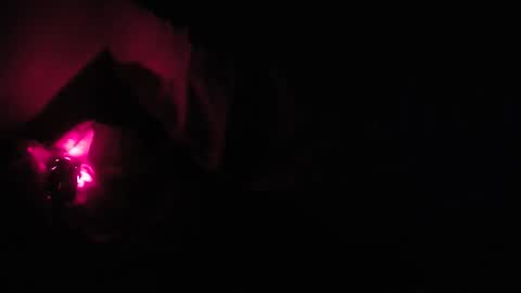 martamoontrans online show from October 8, 1:25 am