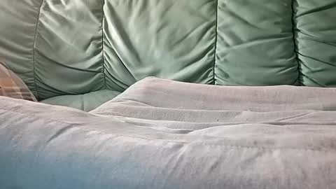 mathisdavid6757 online show from November 9, 8:56 am