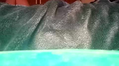 Ignacio online show from January 12, 1:37 pm