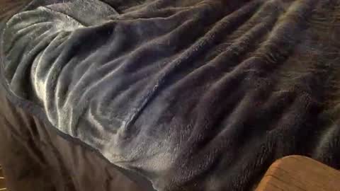 Ignacio online show from October 9, 3:59 am