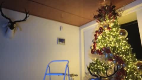 Snapshot of maximohoot chatting on December 3, 11:57 pm Sebastian online show from December 3, 11:57 pm