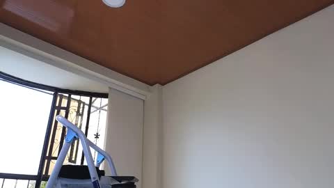 Snapshot of maximohoot chatting on December 30, 7:32 pm Sebastian online show from December 30, 7:32 pm