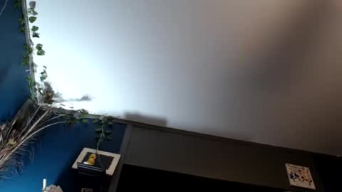 Snapshot of maxwellandpam chatting on February 16, 7:48 am Max and Pam Voyeur Cam online show from February 16, 7:48 am