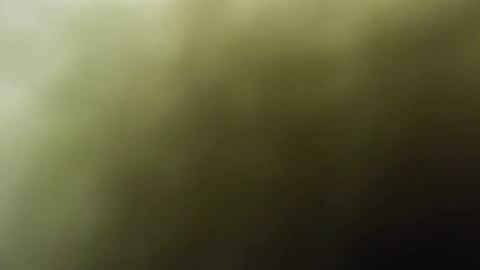 maylee_x online show from February 15, 12:01 pm