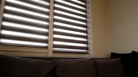 Melania online show from December 21, 12:38 pm