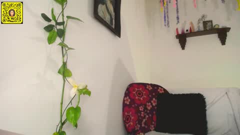 melissa online show from February 11, 12:17 am