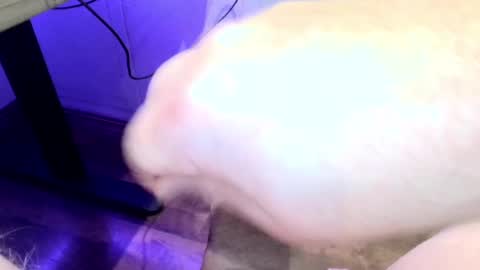 mellomike online show from September 22, 6:32 pm