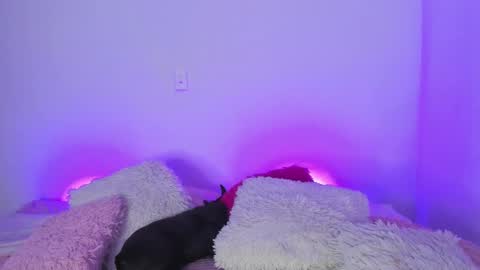 Snapshot of melody__77 chatting on March 5, 4:56 am online show from March 5, 4:56 am