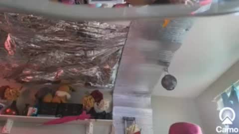 gurlnips online show from December 26, 9:04 pm