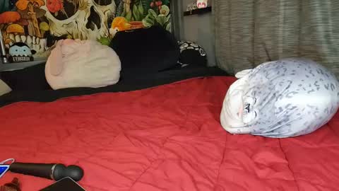 Mia Love online show from February 8, 6:12 am