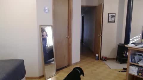 Snapshot of michelle209 chatting on February 13, 3:56 pm Michelle online show from February 13, 3:56 pm