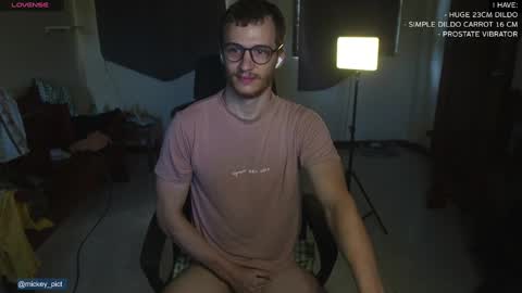 Snapshot of mickey_pict chatting on December 14, 1:50 am Mickey online show from December 14, 1:50 am