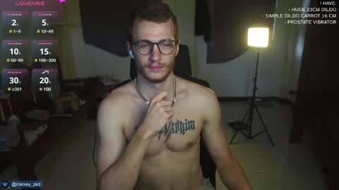 Snapshot of mickey_pict chatting on December 15, 5:02 am Mickey online show from December 15, 5:02 am