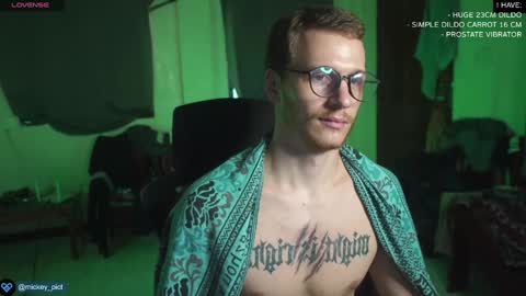 Snapshot of mickey_pict chatting on December 22, 8:05 am Mickey online show from December 22, 8:05 am