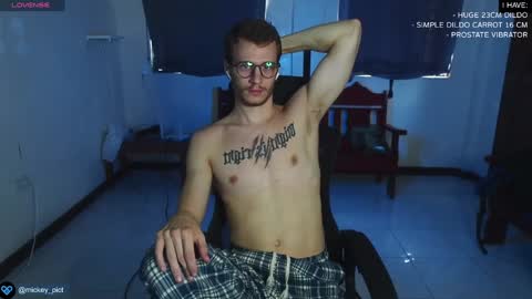 Snapshot of mickey_pict chatting on December 27, 4:15 am Mickey online show from December 27, 4:15 am