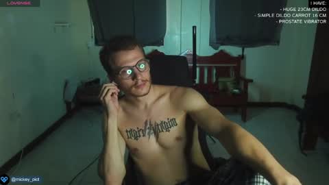 Snapshot of mickey_pict chatting on December 28, 8:58 am Mickey online show from December 28, 8:58 am