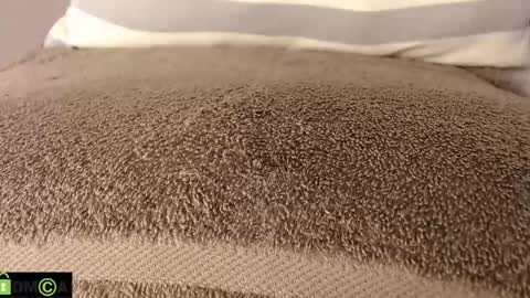 Mikell Williams online show from March 11, 8:53 pm