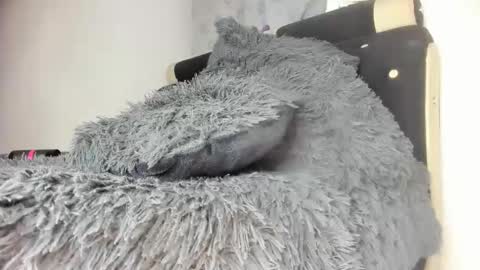 Snapshot of mila_dash chatting on February 7, 5:20 am Mila Dash online show from February 7, 5:20 am