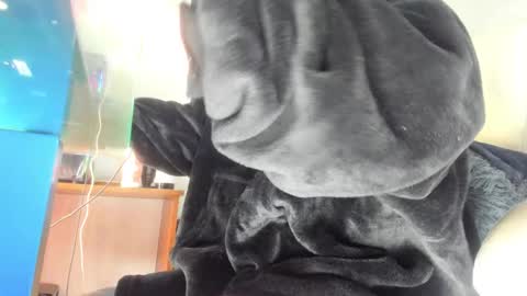 Snapshot of mila_dash chatting on September 24, 10:51 am Mila Dash online show from September 24, 10:51 am