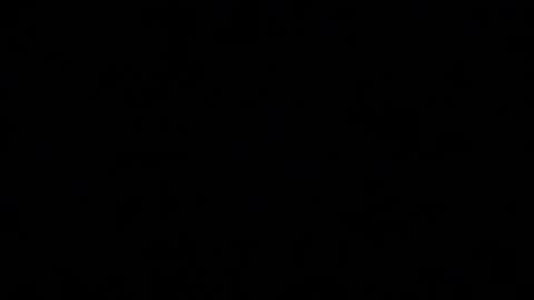 Mila online show from November 10, 2:16 pm