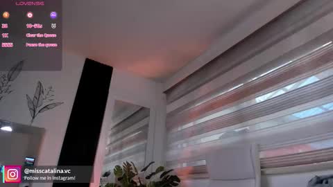 Catalina online show from November 7, 11:43 am