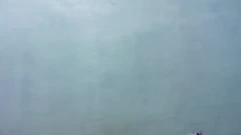 Snapshot of misskitty2xxx chatting on November 8, 8:14 am Merry online show from November 8, 8:14 am