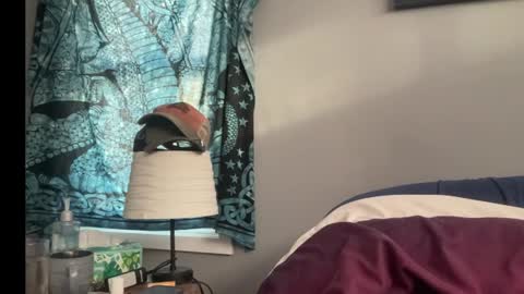 MNTuiLa online show from January 13, 3:15 pm