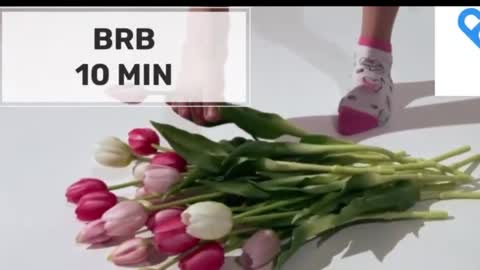 Mommy online show from November 5, 2:11 am