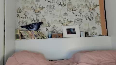 Liza online show from September 15, 9:59 pm