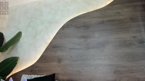  Morgan  online show from February 7, 2:37 pm