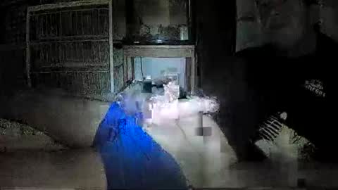 mrgray11xxx aussie online show from December 8, 5:01 pm