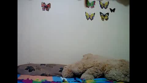 Snapshot of ms_teery chatting on December 8, 12:30 pm ms_teery online show from December 8, 12:30 pm