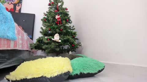 Snapshot of msschloee chatting on December 11, 8:07 pm Chloe new account online show from December 11, 8:07 pm