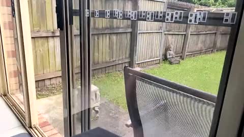 Snapshot of mudjimba chatting on December 17, 6:02 am mudjimba online show from December 17, 6:02 am