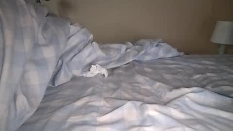 Laly online show from January 6, 8:03 am