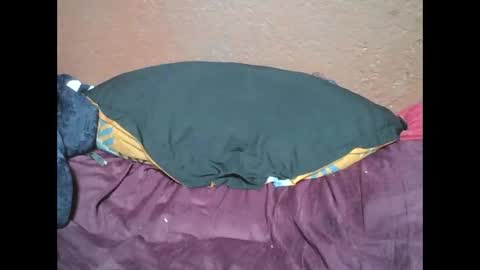 Snapshot of myaldiah chatting on February 17, 4:04 pm myaldiah online show from February 17, 4:04 pm