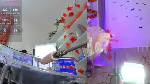 Snapshot of nancy_winter chatting on November 6, 12:28 pm INSTAGRAM bekkercat online show from November 6, 12:28 pm