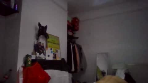 NarcoMarco online show from November 11, 1:49 am