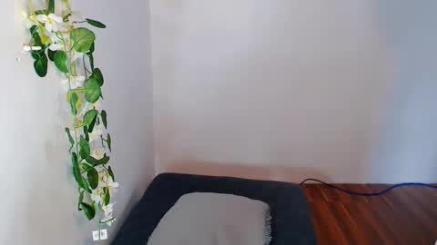 Snapshot of nashdiam chatting on November 30, 7:23 am nashdiam online show from November 30, 7:23 am