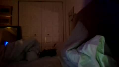 nassobout online show from December 17, 7:40 am