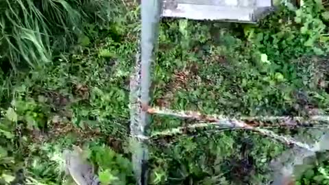 nata1974 online show from October 18, 3:35 pm