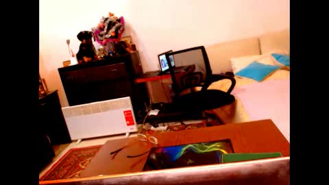 natali online show from January 5, 9:15 am