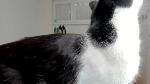 naughtysabine1 online show from February 6, 9:53 am